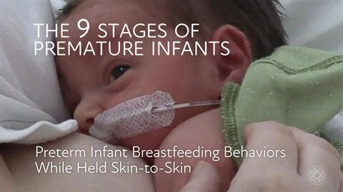 The 9 Stages of Premature Infants  |  The 9 Stages of Premature Infants While Skin-to-Skin (HD)